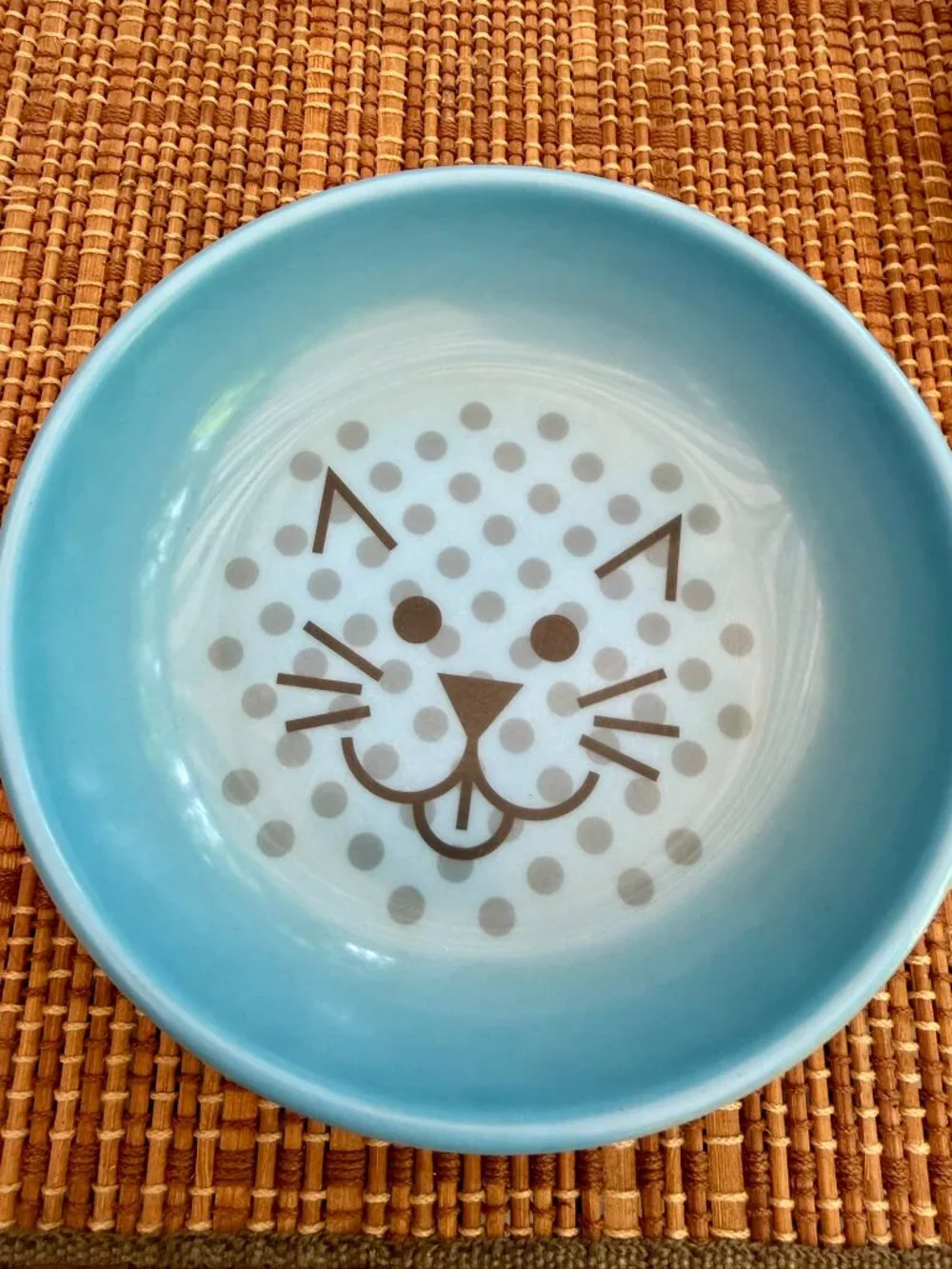 🐾PET | Van Ness Ecoware Non‑Skid Cat Bowls (Set-2) – BPA‑Free, Whisker‑Friendly